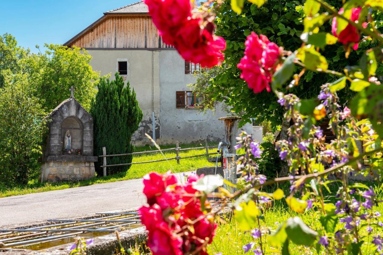 Votre Studio Balneo Bien-Etre A La Montagne Thollon-les-Memises Zewnętrze zdjęcie
