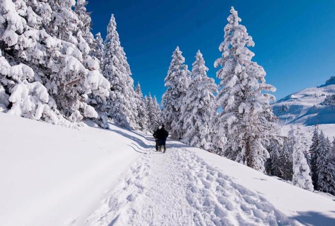 Votre Studio Balneo Bien-Etre A La Montagne Thollon-les-Memises Zewnętrze zdjęcie