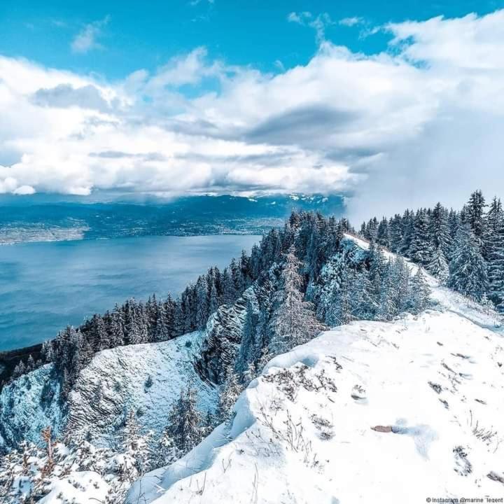 Votre Studio Balneo Bien-Etre A La Montagne Thollon-les-Memises Zewnętrze zdjęcie